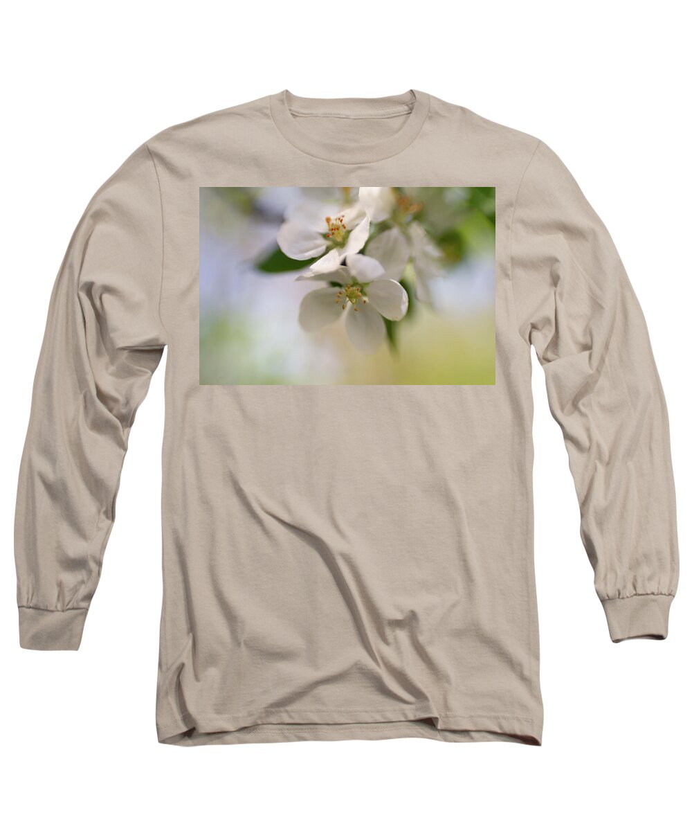 Blossom Long Sleeve T-Shirt featuring the photograph Winter White and Spring Green by Pamela Taylor