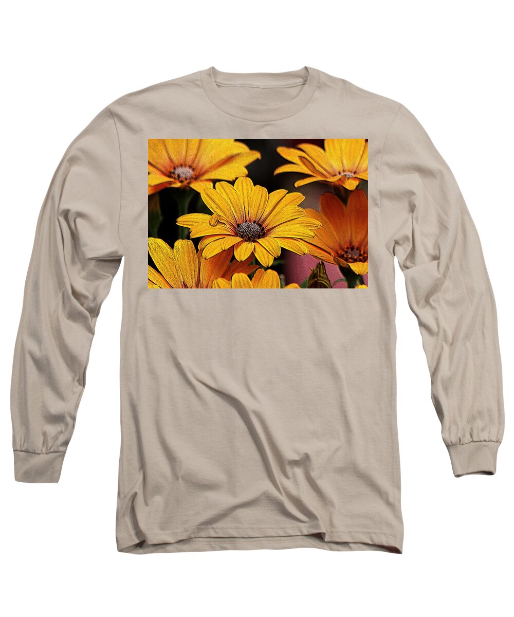 Nature Long Sleeve T-Shirt featuring the photograph Yellow African Daisies Embossed by Sheila Brown