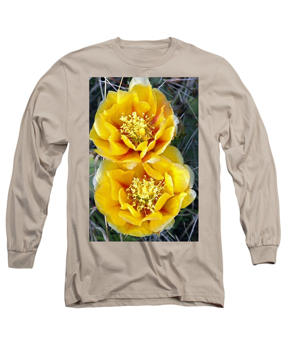 Yellow Long Sleeve T-Shirt featuring the photograph Yellow Cactus Blooms by Gary Langley