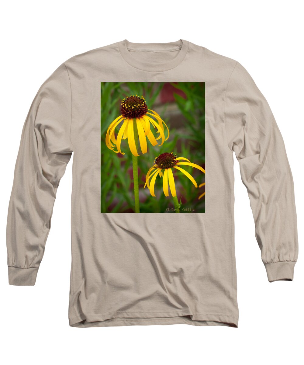 Botanical Long Sleeve T-Shirt featuring the photograph Yellow Pair by David Coblitz