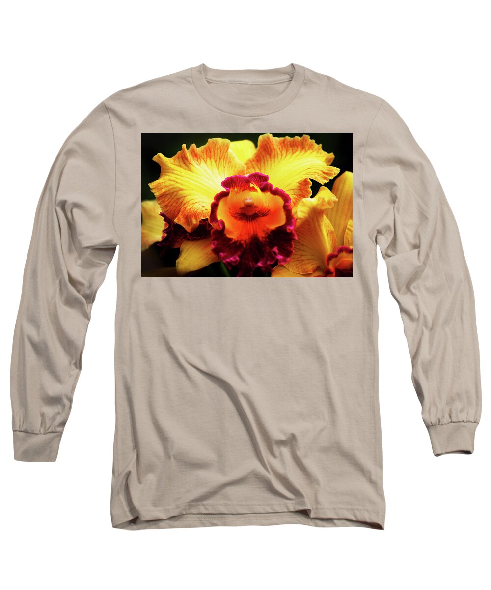 Hawaii Long Sleeve T-Shirt featuring the photograph Yellow-Purple Orchid by Anthony Jones