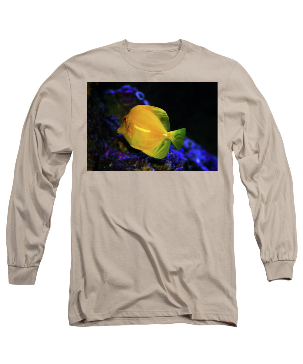 Yellow Tang Long Sleeve T-Shirt featuring the photograph Yellow Tang by Anthony Jones