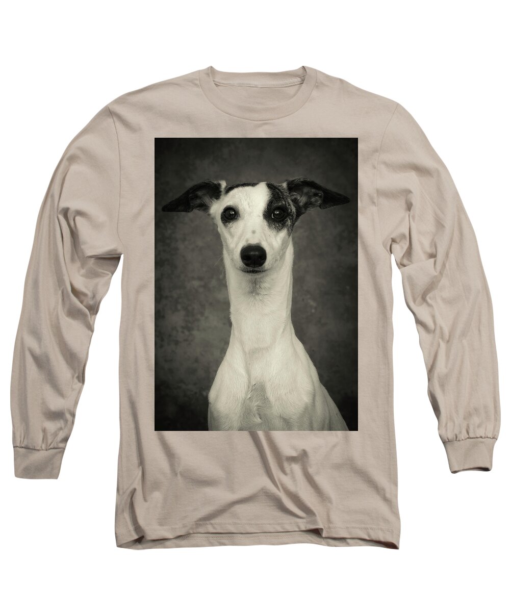 Whippet Long Sleeve T-Shirt featuring the photograph Young Whippet In Black and White by Greg and Chrystal Mimbs