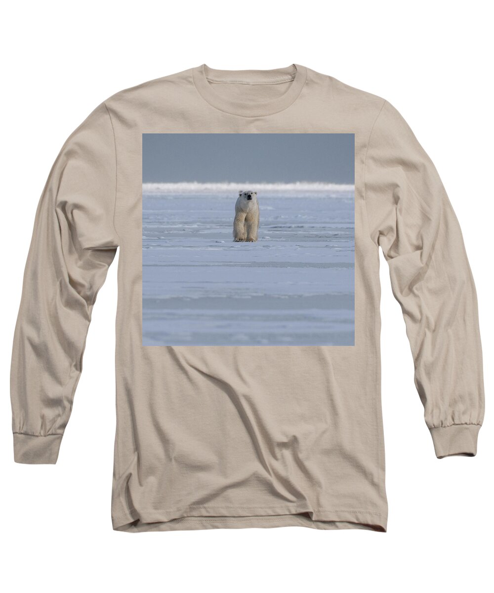 Bear Long Sleeve T-Shirt featuring the photograph The Stare #1 by Mark Hunter