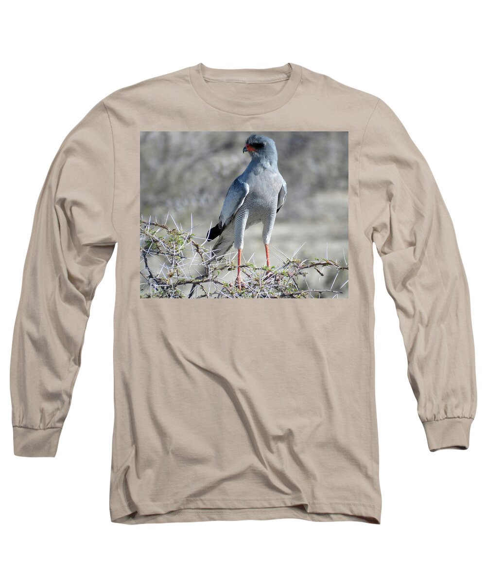 Africa Long Sleeve T-Shirt featuring the photograph Bird #2 by Eric Pengelly