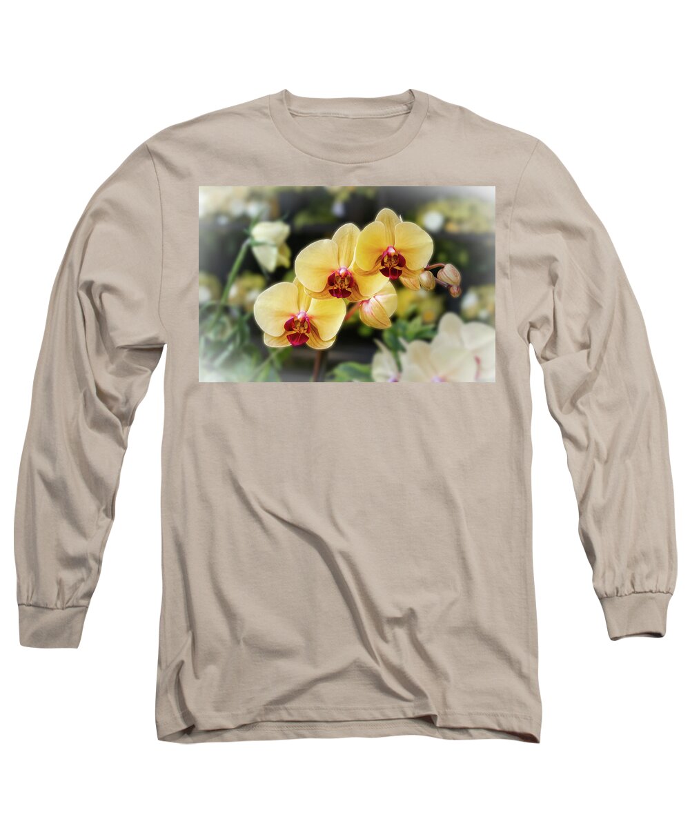 Orchids Long Sleeve T-Shirt featuring the photograph 3 Orchids by Silvia Marcoschamer