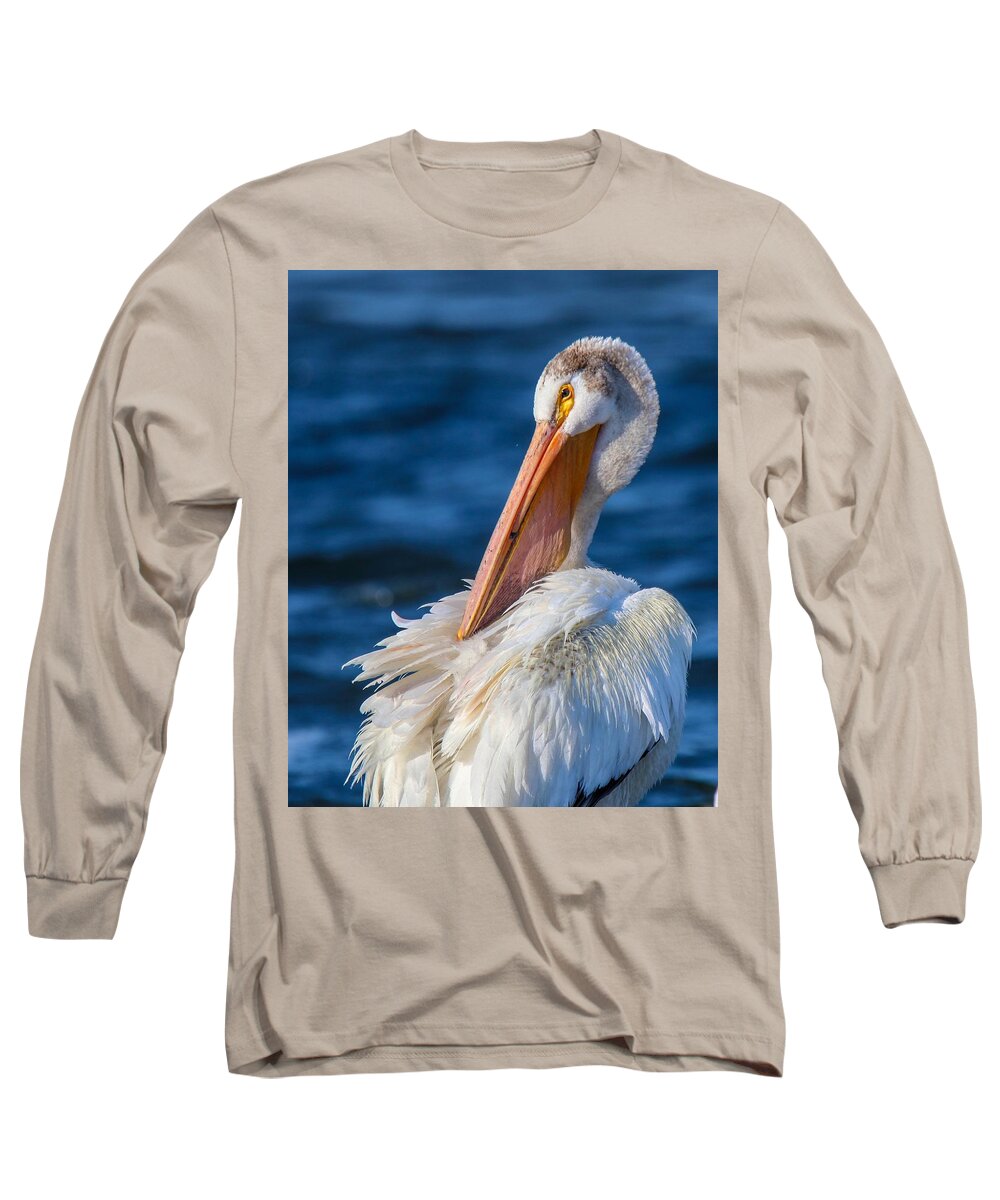 Birds Long Sleeve T-Shirt featuring the photograph American White Pelican by Susan Rydberg