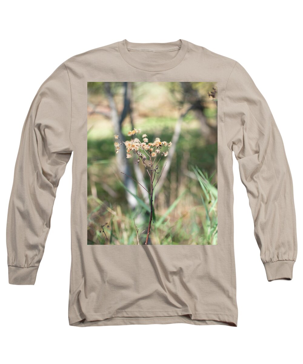 Fall Flowers Long Sleeve T-Shirt featuring the photograph Fall Flowers and White Birch In the Forest by Cordia Murphy