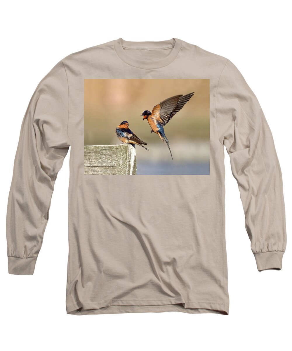 Barn Swallows Long Sleeve T-Shirt featuring the photograph Barn Swallow Conversation by Judi Dressler