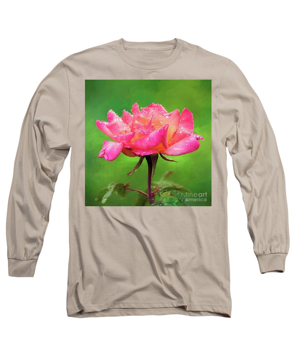 Pink Rose Long Sleeve T-Shirt featuring the photograph Beautiful Two-Tone Rose in the Rain by Anita Pollak