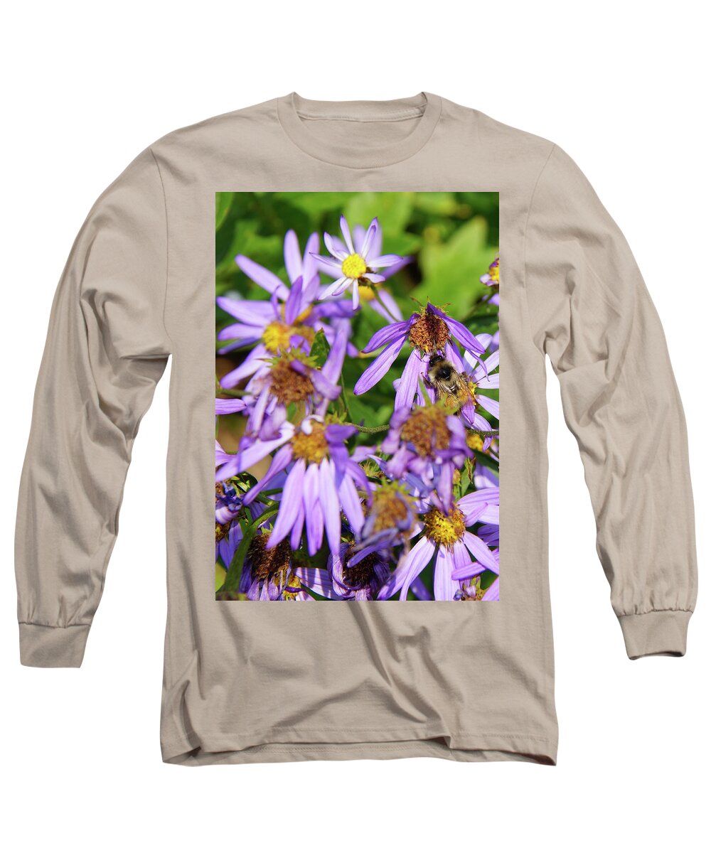 Aster Long Sleeve T-Shirt featuring the photograph Bee collecting pollen on Alpine Aster , Mount Rainier by Steve Estvanik