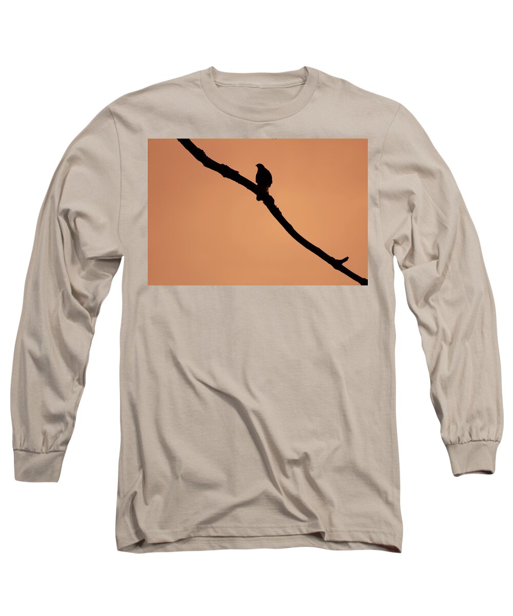 Bird Long Sleeve T-Shirt featuring the digital art Bird on a Branch by Geoff Jewett