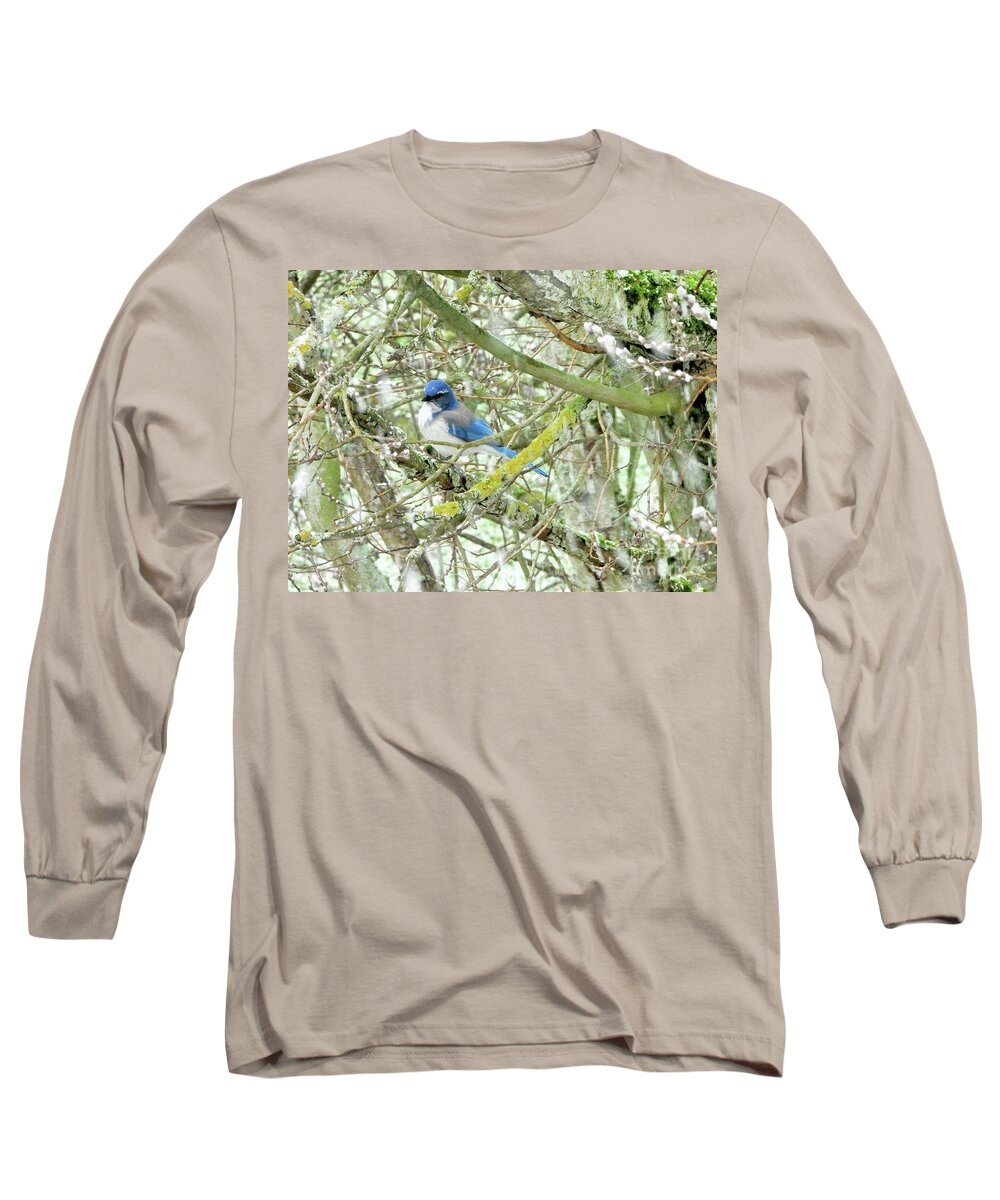 Bluejay Long Sleeve T-Shirt featuring the photograph Bluejay on a Snowy Day by Scott Cameron