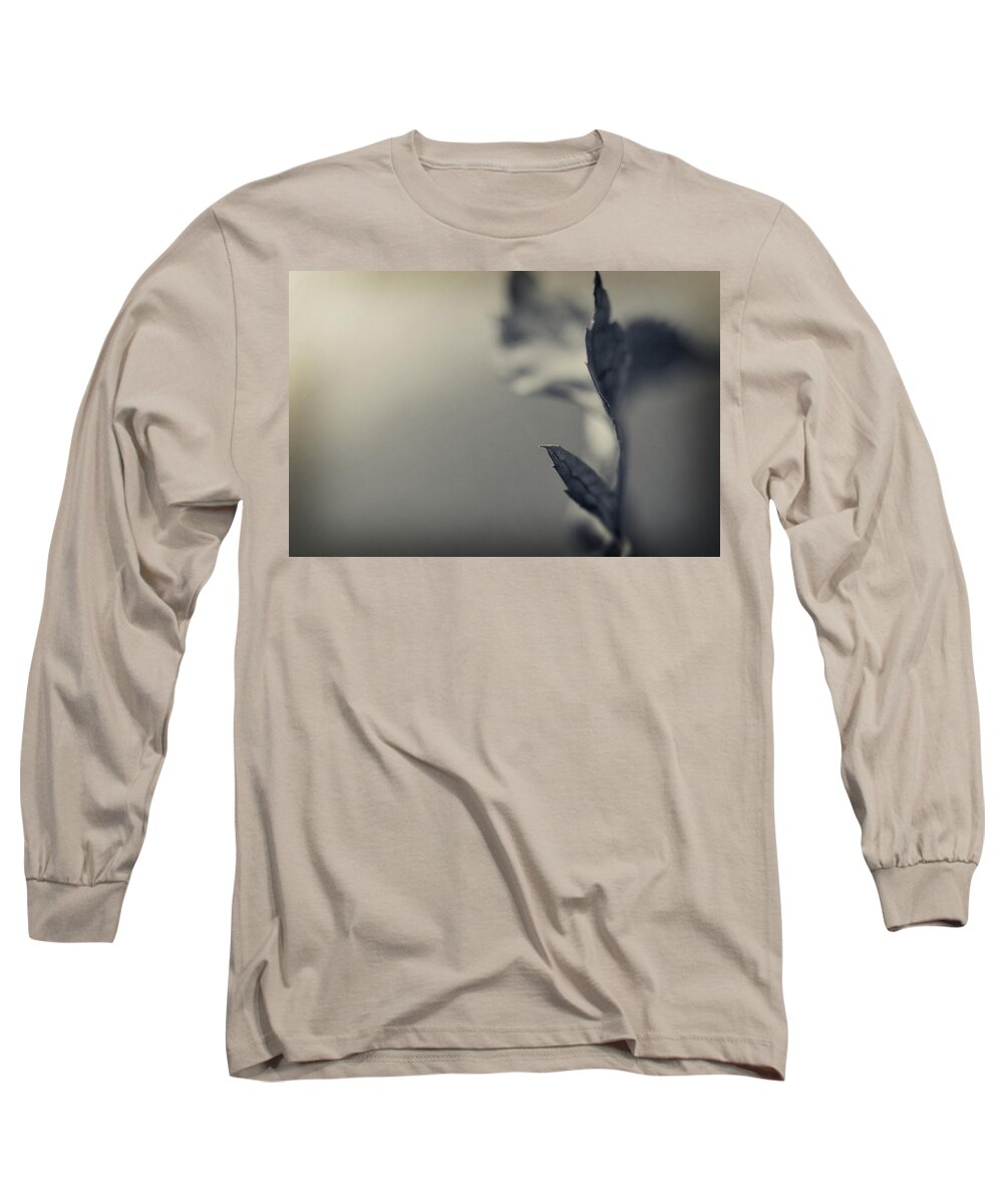 Leaf Long Sleeve T-Shirt featuring the photograph Blurred Lines by Michelle Wermuth