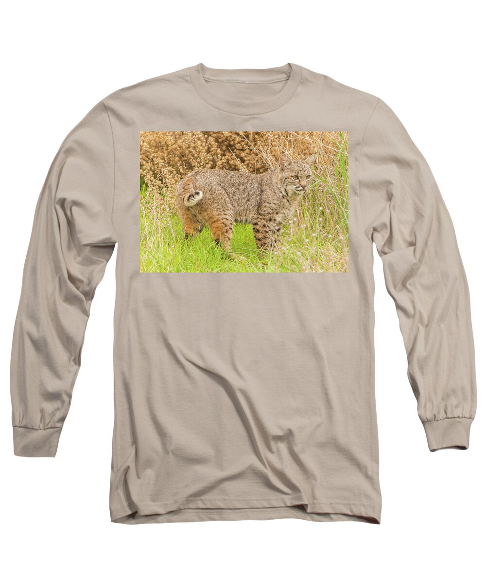 Usa Long Sleeve T-Shirt featuring the photograph Bobcat Pose by Marc Crumpler