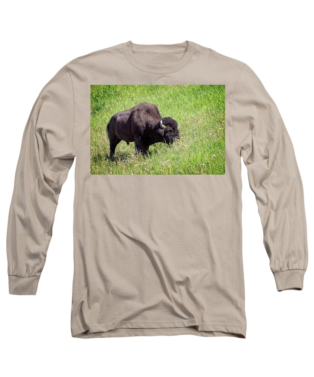 Buffalo Long Sleeve T-Shirt featuring the photograph Buffalos Spring Feast by Jeanette Mahoney