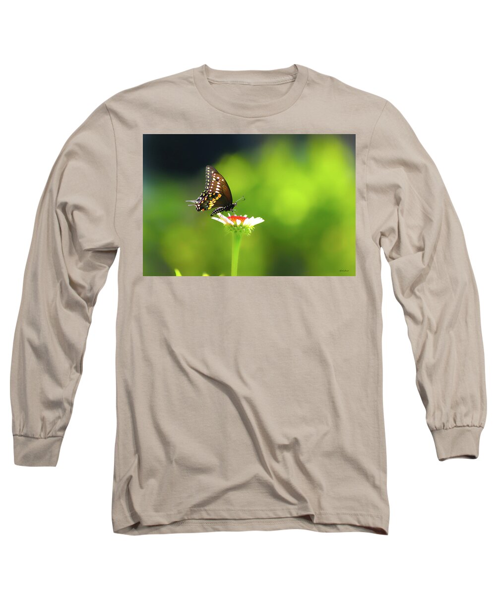 Butterfly Sunshine Long Sleeve T-Shirt featuring the photograph Butterfly Sunshine by Linda Sannuti