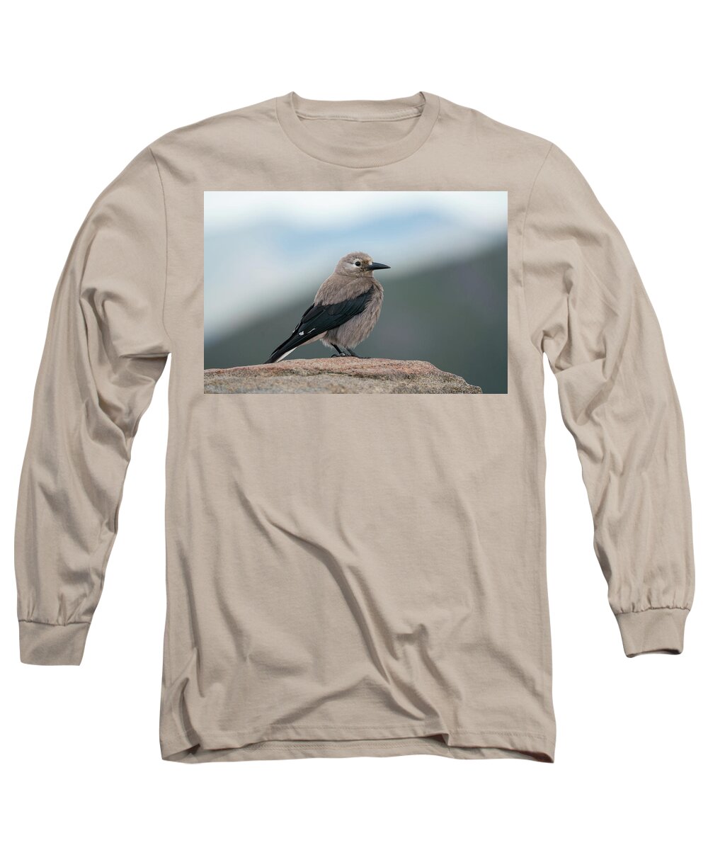 Beak Long Sleeve T-Shirt featuring the photograph Clarks Nutcracker in the wild by Kyle Lee