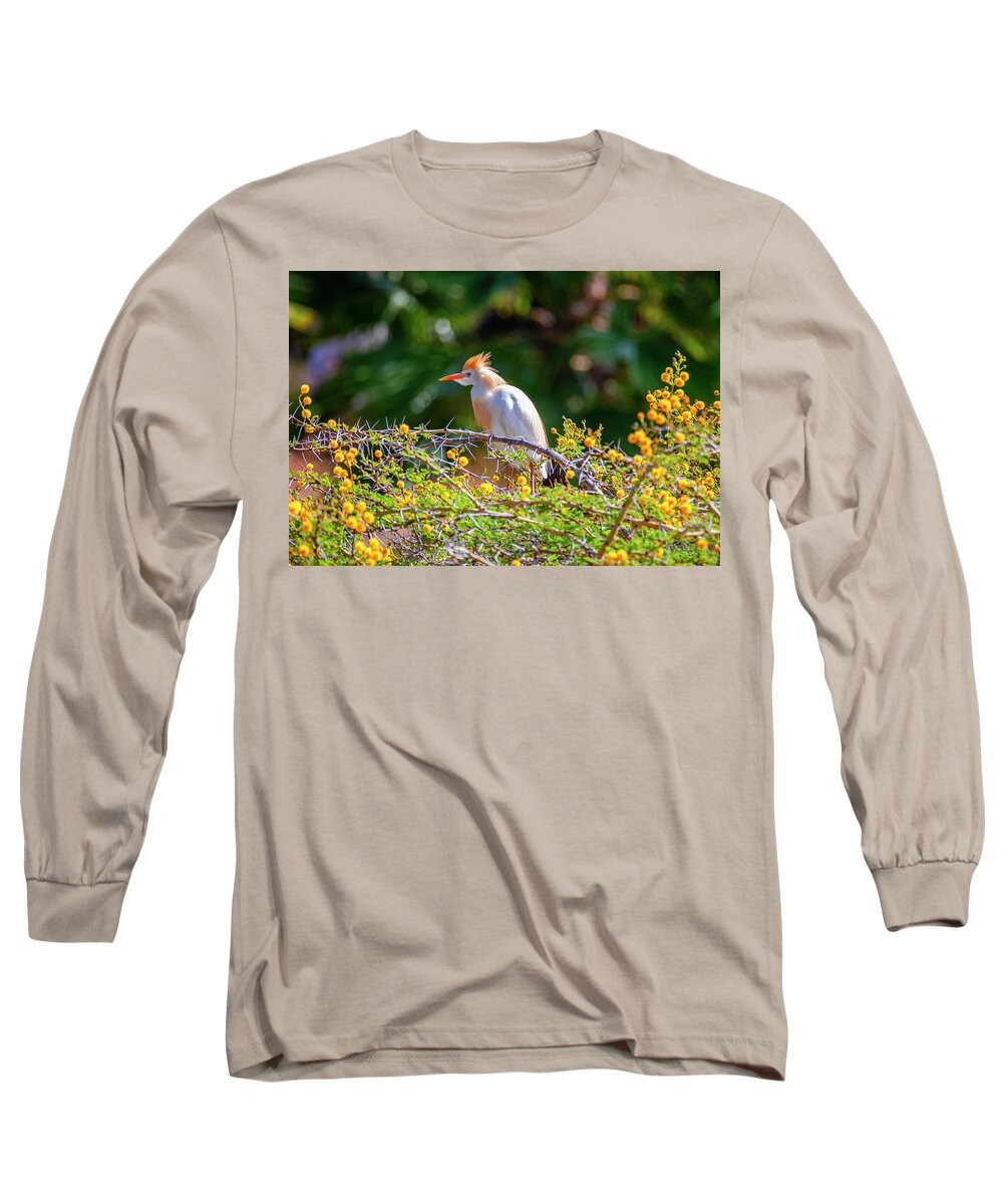 Egret Long Sleeve T-Shirt featuring the photograph Colorful Cattle Egret by Anthony Jones
