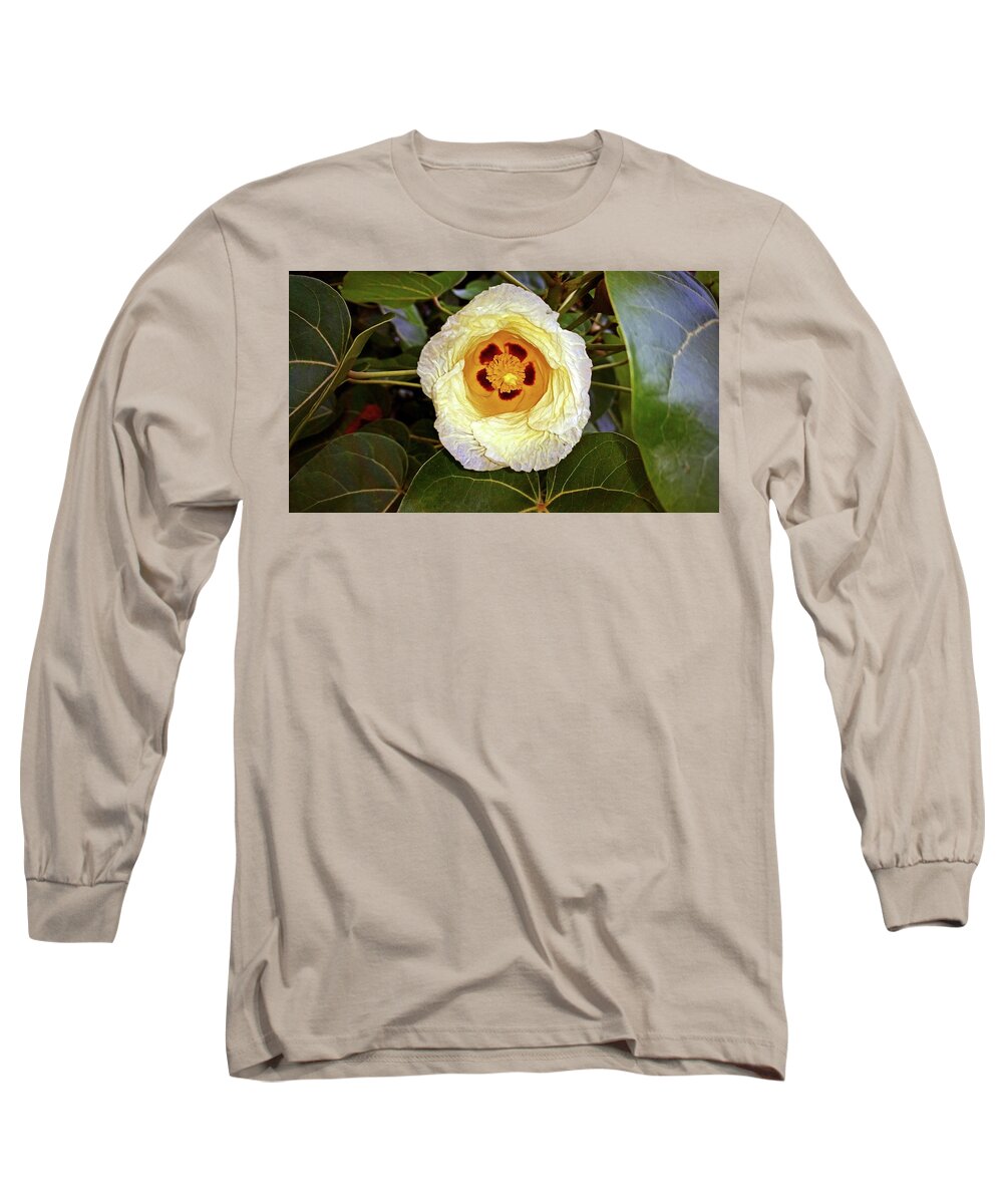 Gossypium Hirsutum Long Sleeve T-Shirt featuring the photograph Cottoning by Climate Change VI - Sales