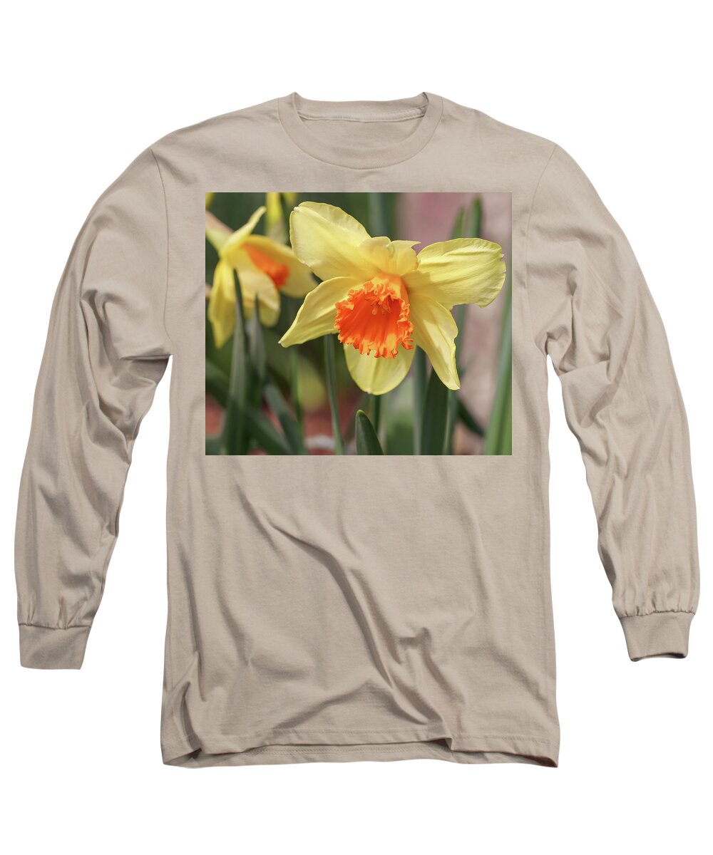 Daffodils Long Sleeve T-Shirt featuring the photograph Daffodils by Anna Rumiantseva