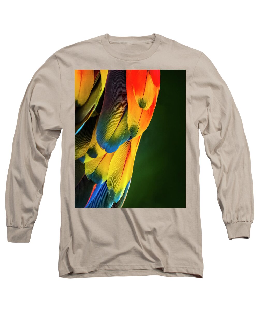 Feathers Long Sleeve T-Shirt featuring the photograph Feather Rainbow by Ginger Stein