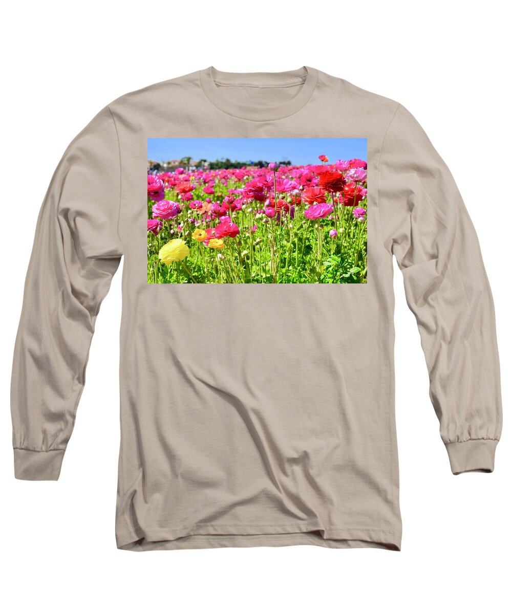 Flower Long Sleeve T-Shirt featuring the photograph Pink Giant Tecolote Ranunculus flowers by Bnte Creations