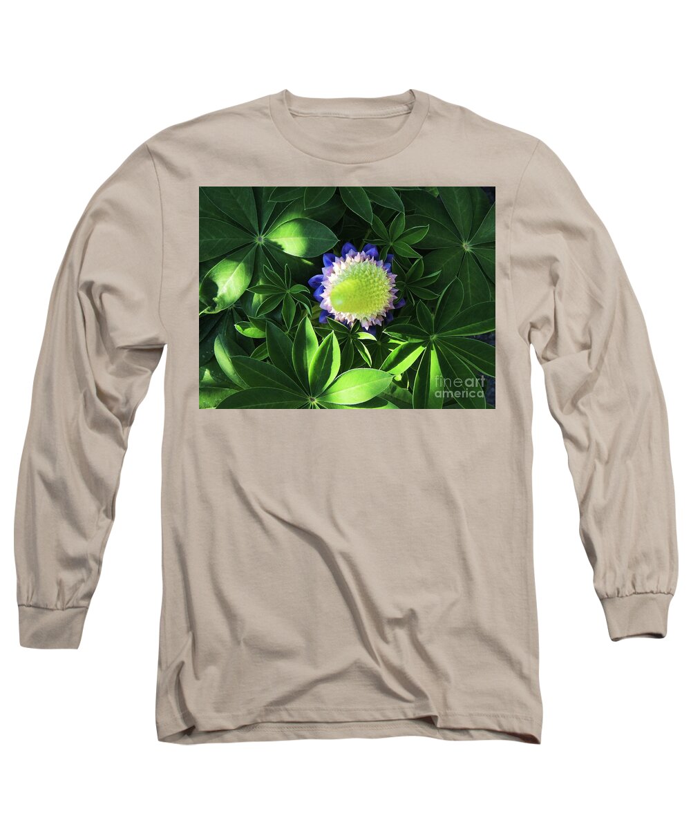 Flower Long Sleeve T-Shirt featuring the photograph Full of Light by Julie Rauscher