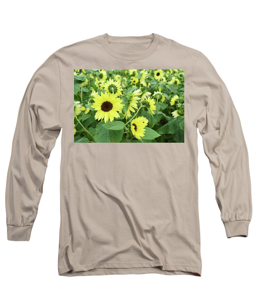 Sunflower Long Sleeve T-Shirt featuring the photograph Glorious Sunflowers by Aimee L Maher ALM GALLERY