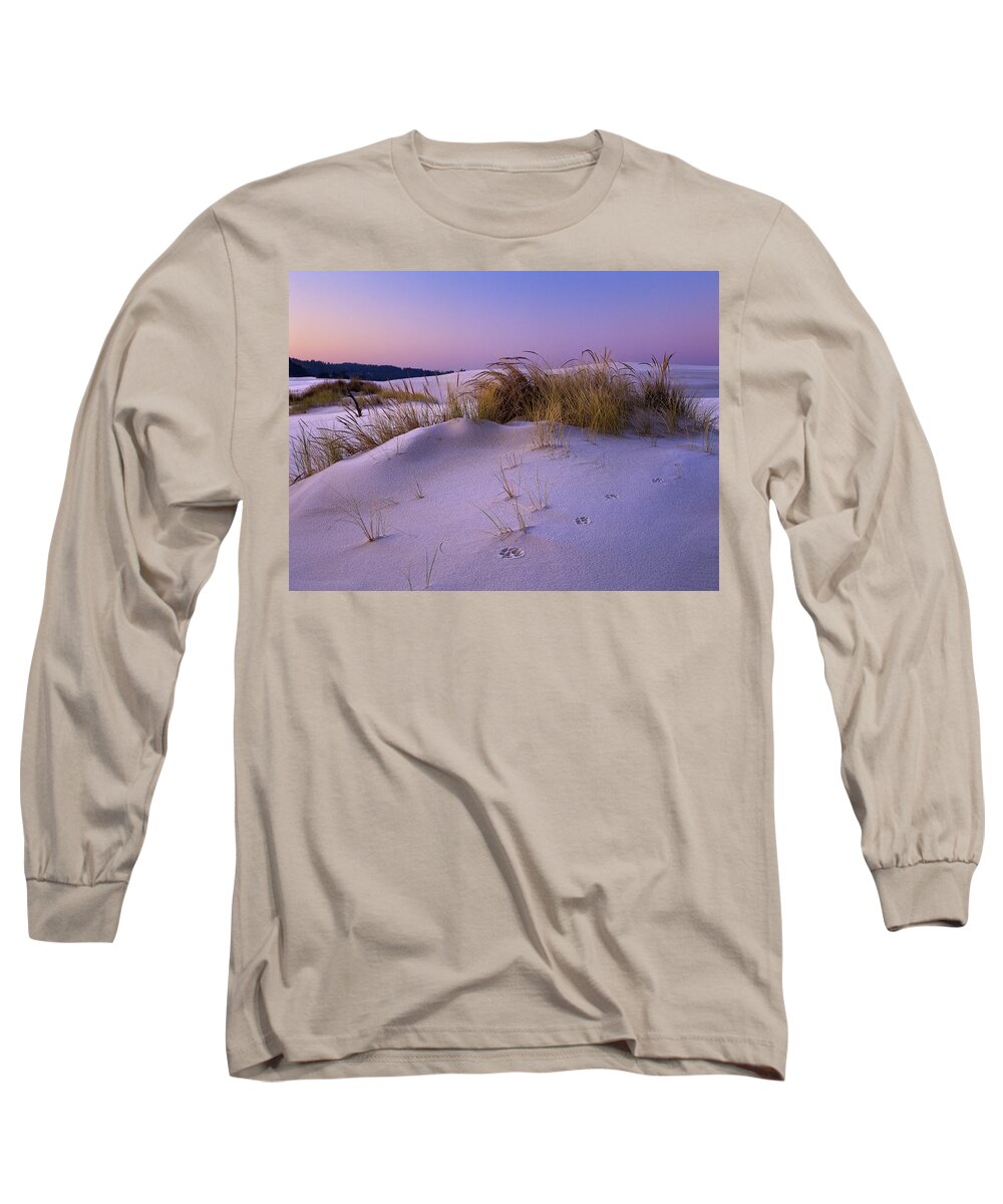 Cold Long Sleeve T-Shirt featuring the photograph Grass and Frost at Dawn by Robert Potts