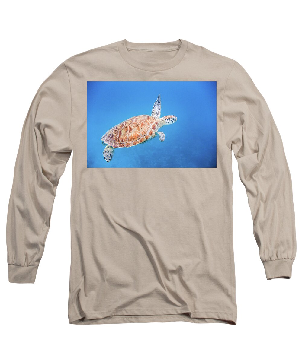 Turtle Long Sleeve T-Shirt featuring the photograph Green Sea Turtle swimming by Mark Hunter