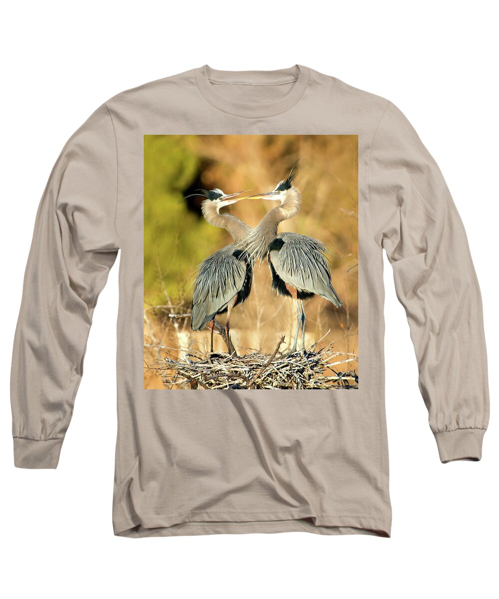 Great Blue Long Sleeve T-Shirt featuring the photograph Heron Sweeties by Judi Dressler