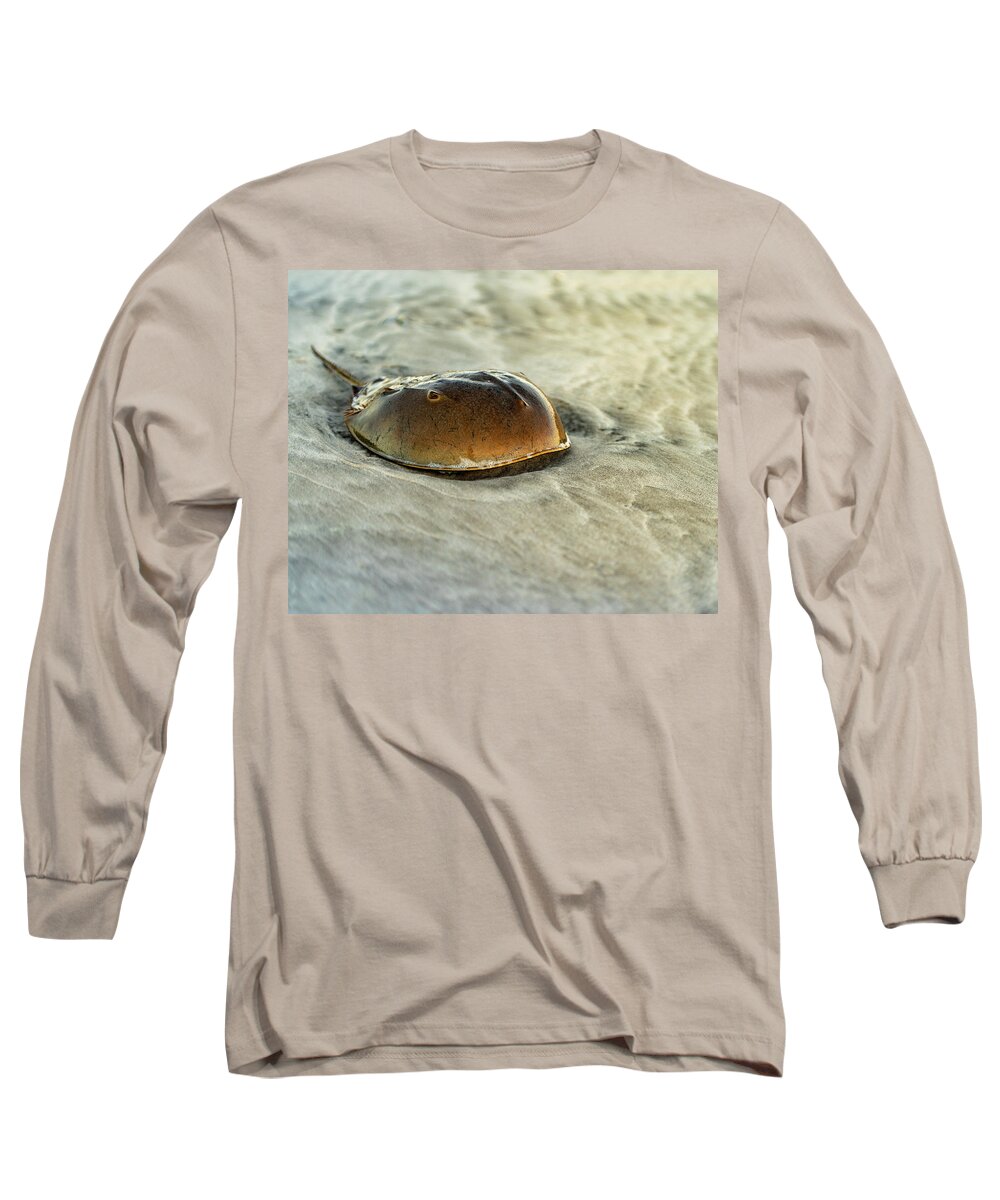 Beach Long Sleeve T-Shirt featuring the photograph Horseshoe Crab on the Beach by William Dickman