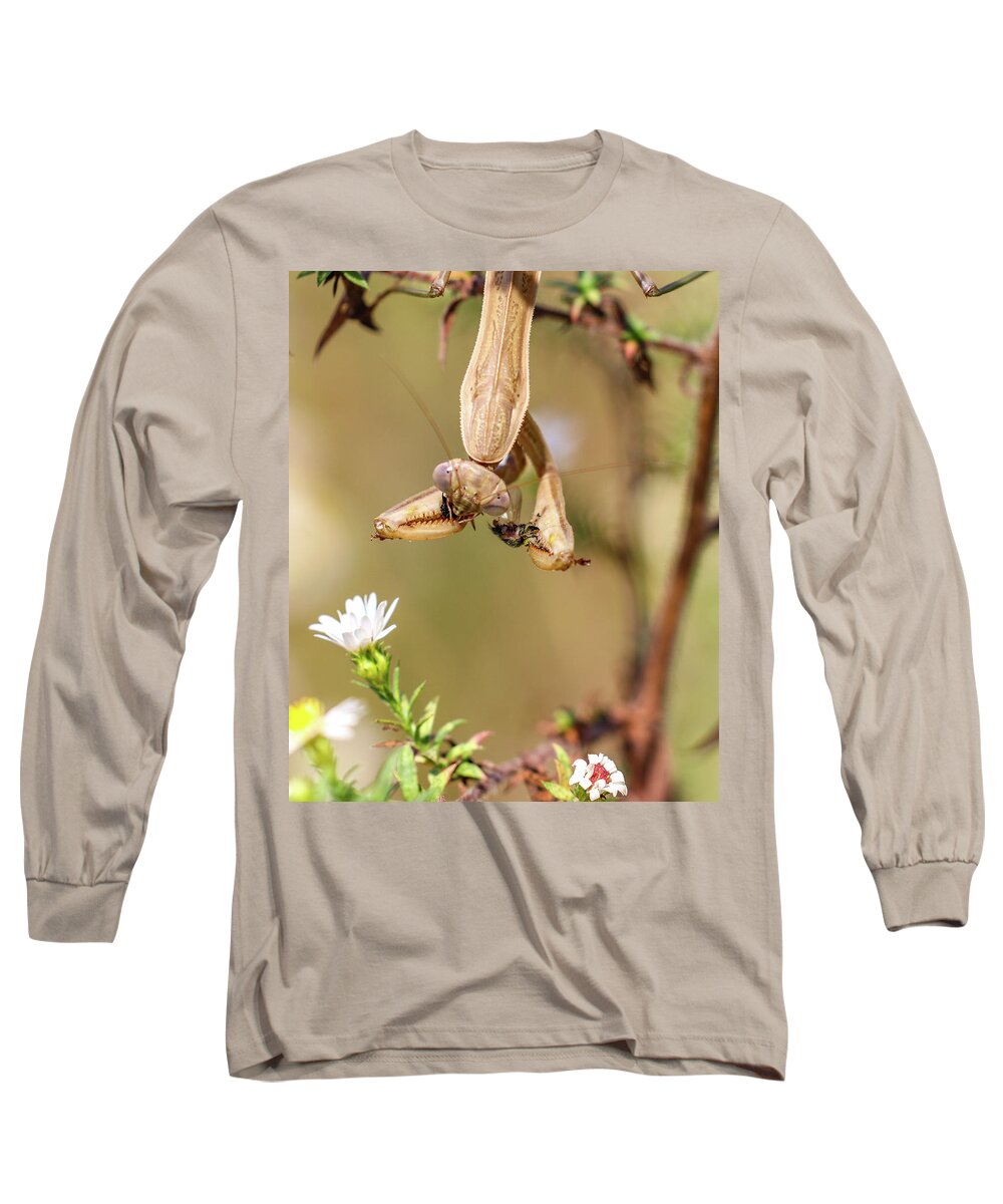Mantis Long Sleeve T-Shirt featuring the photograph Mantis and Fly by Michelle Wittensoldner