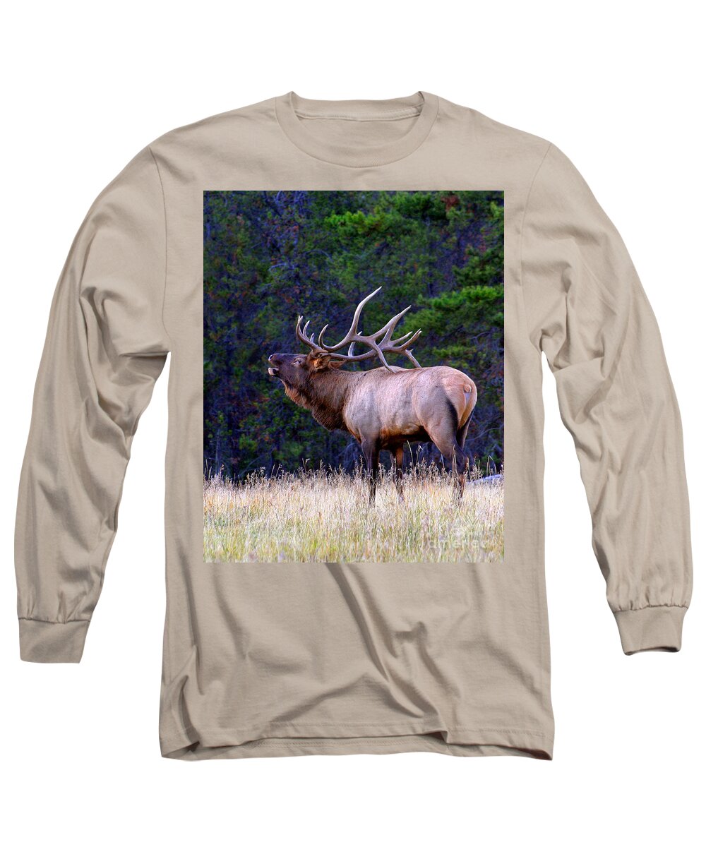Wapiti Long Sleeve T-Shirt featuring the photograph Bull Elk Bugling Fall Breeding Season by Robert C Paulson Jr