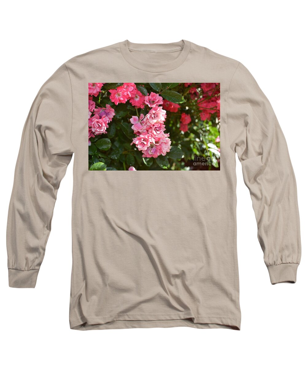 Mini Roses Blooming Long Sleeve T-Shirt featuring the photograph Mini Roses Blooming by Barbra Telfer