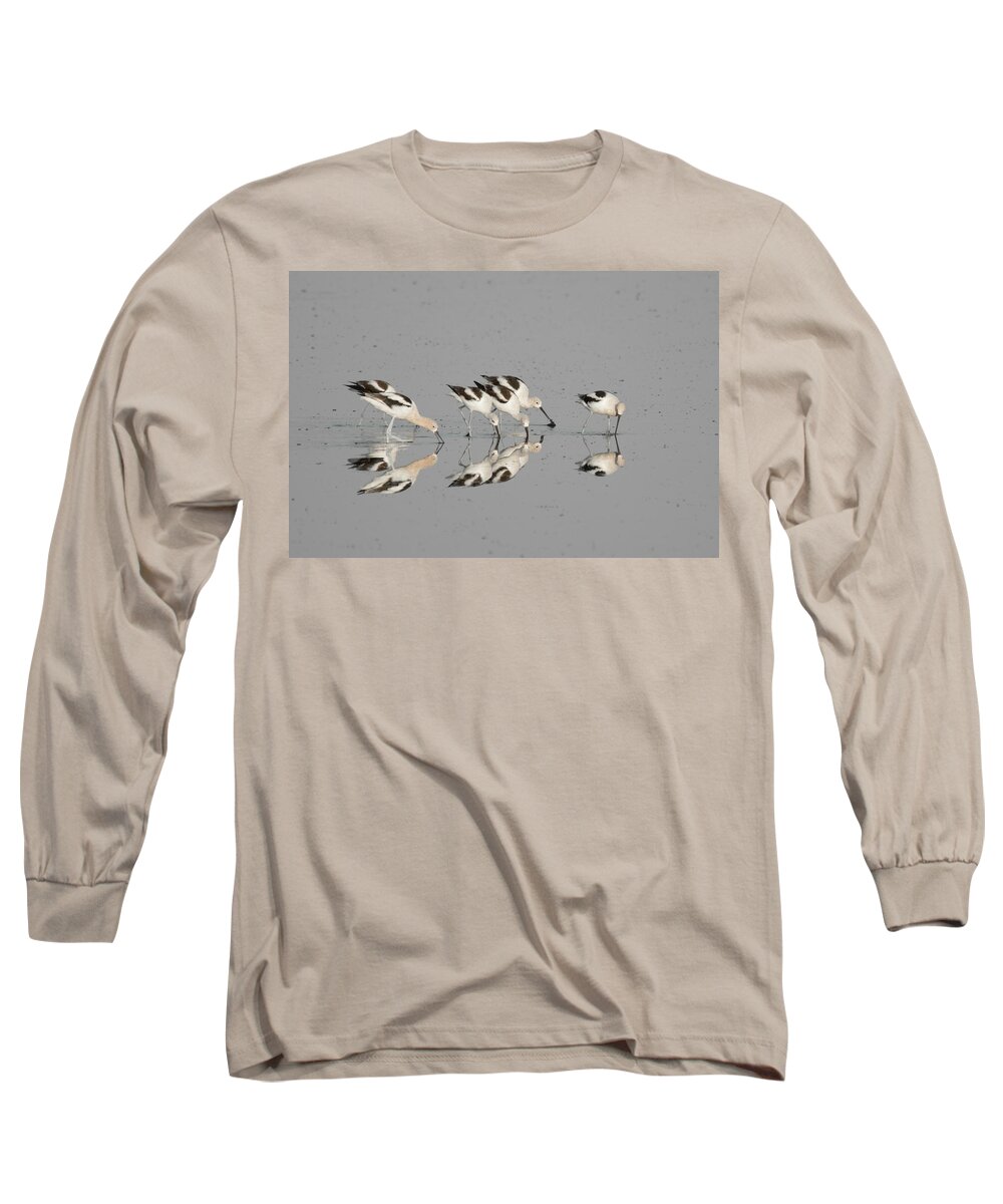 Avocets Long Sleeve T-Shirt featuring the photograph Mirror Image by Donald Brown