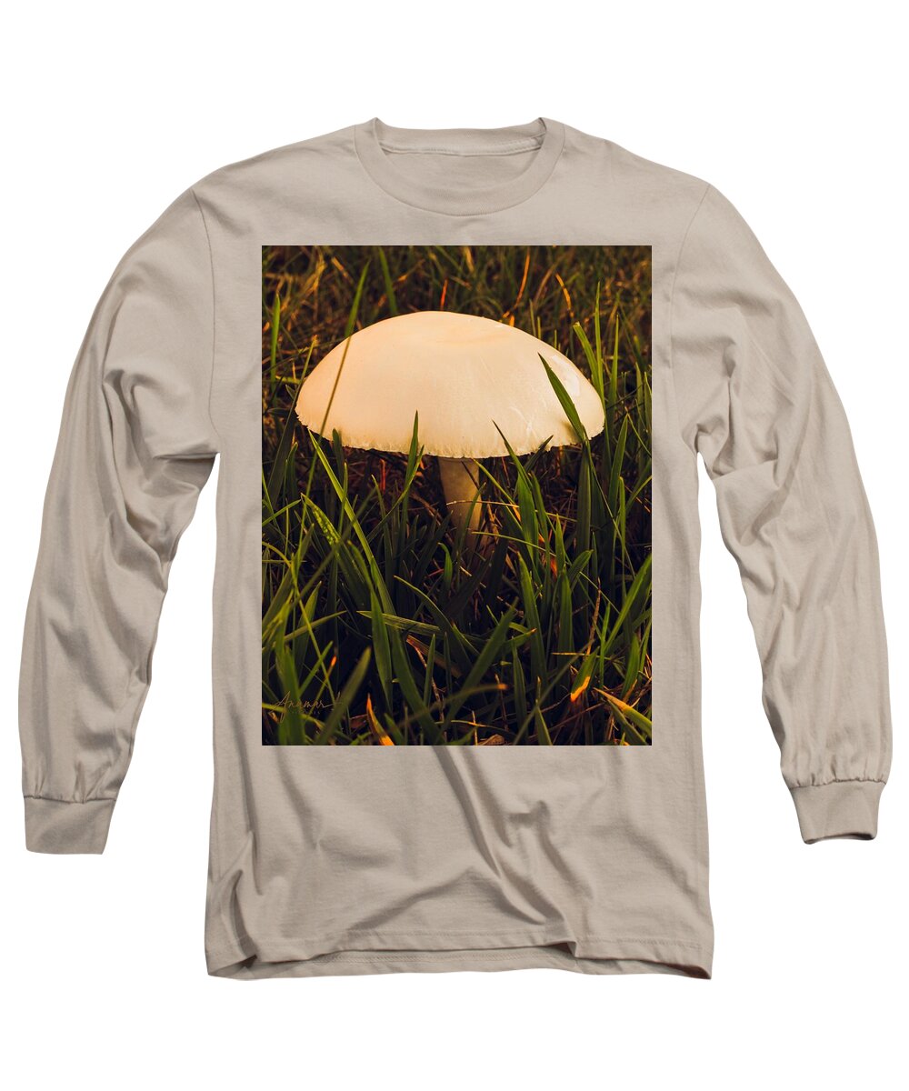 Mushroom Long Sleeve T-Shirt featuring the photograph Mushroom 2 by Anamar Pictures