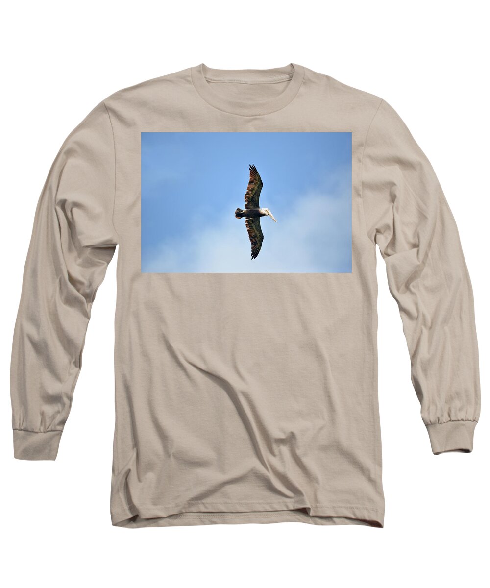 Brown Pelican Long Sleeve T-Shirt featuring the photograph Overflight by Climate Change VI - Sales