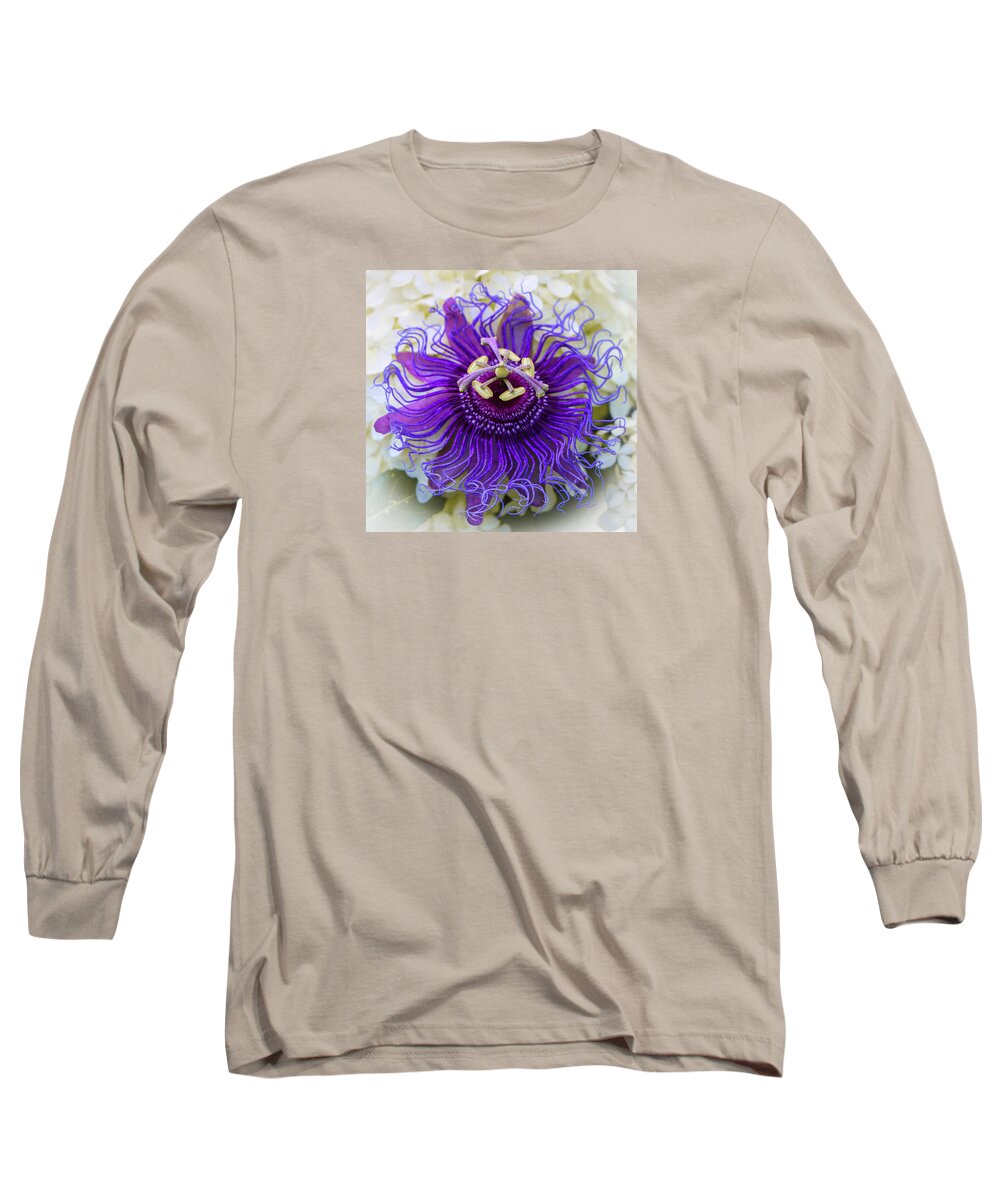 Flowers Long Sleeve T-Shirt featuring the photograph Passiflora Incarnata by Venetia Featherstone-Witty