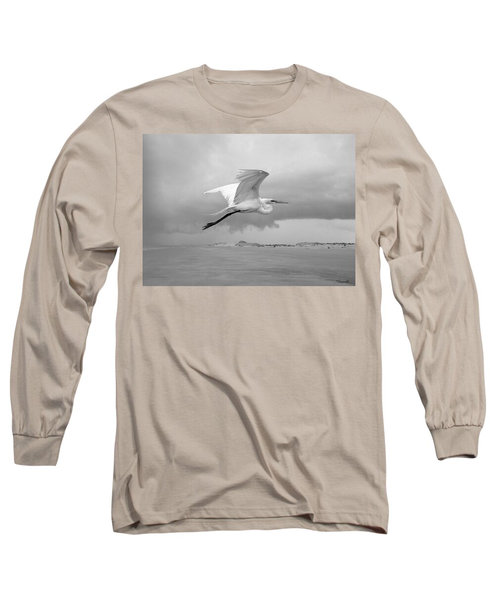 Bird Long Sleeve T-Shirt featuring the digital art Retreat from Coming Storm by M Spadecaller
