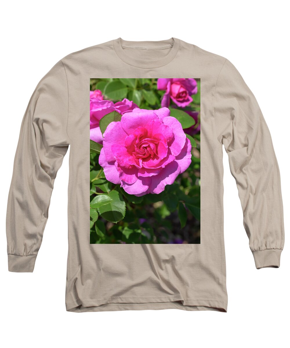 Rose Long Sleeve T-Shirt featuring the photograph Rosa Thomas Affleck by Dawn Cavalieri