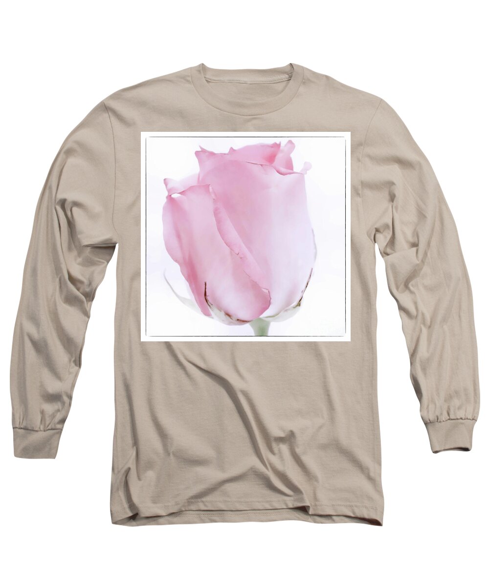 Rose Long Sleeve T-Shirt featuring the photograph RosaRosa by Natural Abstract Photography