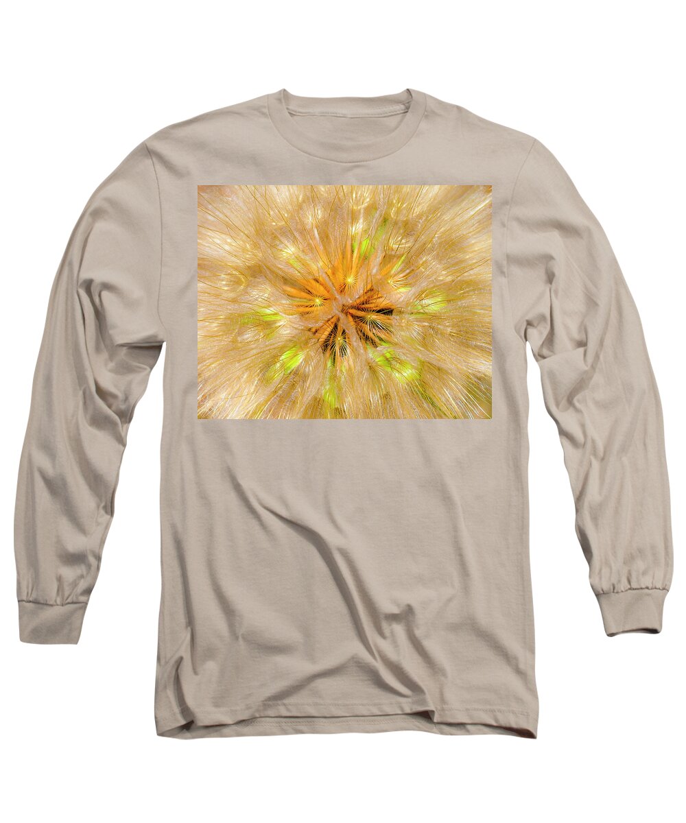 Flower Seeds Long Sleeve T-Shirt featuring the photograph Seeds #2 by Neil Pankler