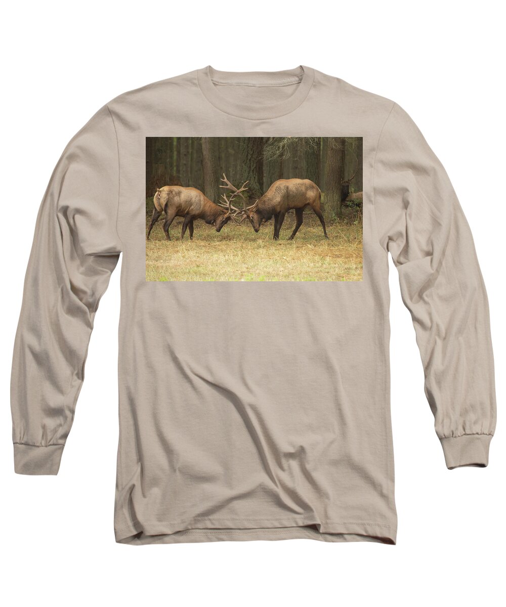 Wildlife Long Sleeve T-Shirt featuring the photograph Sparring by Bob Cournoyer