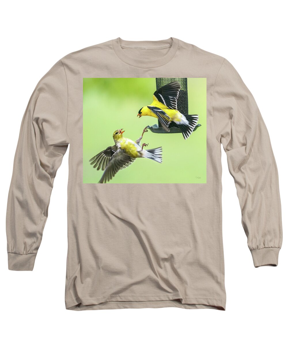 Goldfinches Long Sleeve T-Shirt featuring the photograph Squabble at the Feeder by Judi Dressler