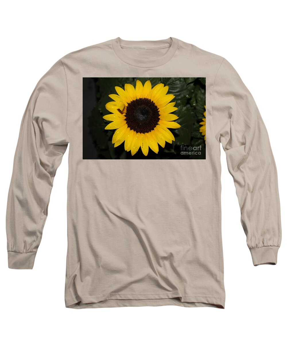 Sunflower With Rain Dew Drops Ii Long Sleeve T-Shirt featuring the photograph Sun Flower With Rain Dew Drops II by Barbra Telfer