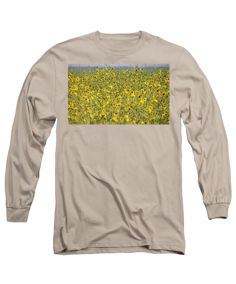 Sunflowers Long Sleeve T-Shirt featuring the photograph Sunflower Explosion by Jonathan Thompson
