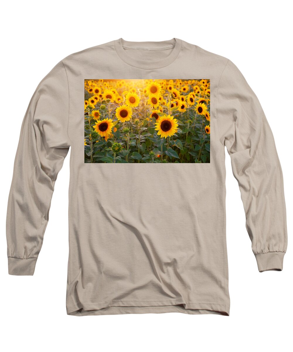 Flower Long Sleeve T-Shirt featuring the photograph Sunflowers field by Top Wallpapers