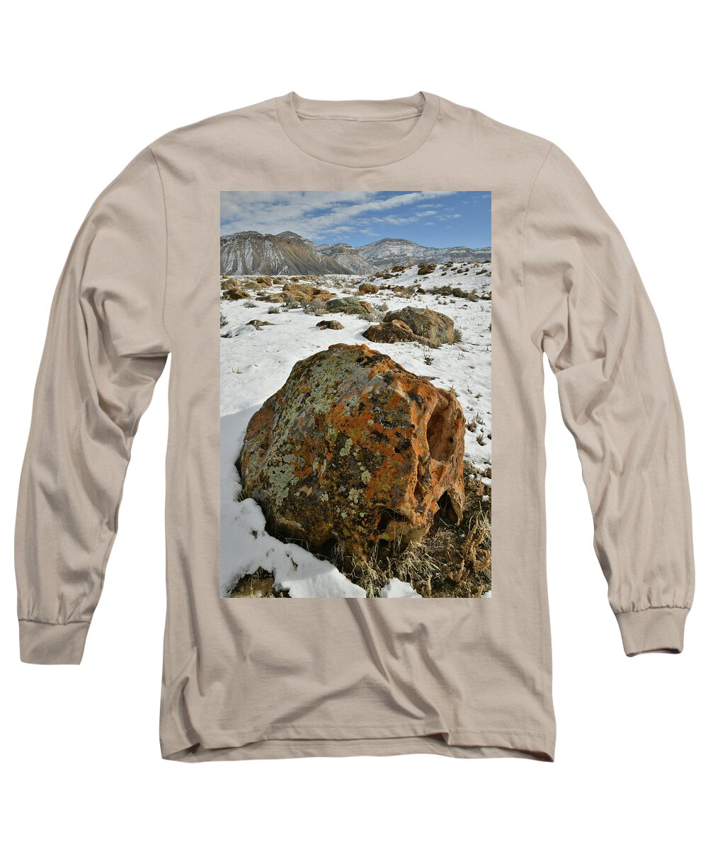 Book Cliffs Long Sleeve T-Shirt featuring the photograph The Book Cliff's Colorful Boulders by Ray Mathis